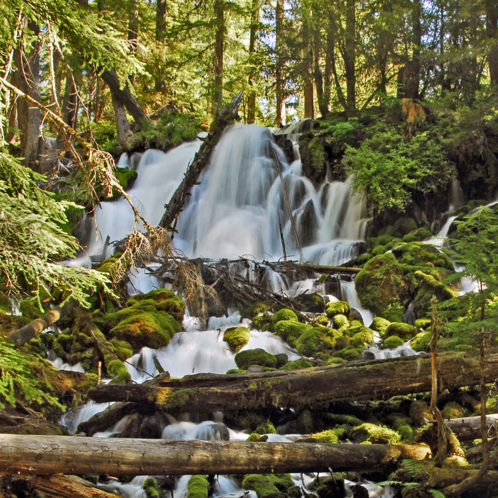 Clearwater Falls, Douglas County